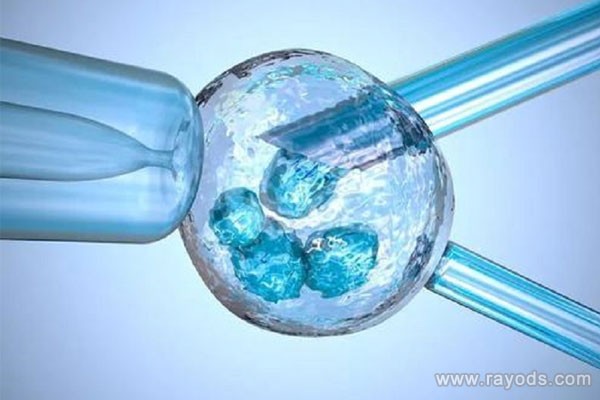 “冻胚or鲜胚”，做试管婴儿到底应该怎么选？