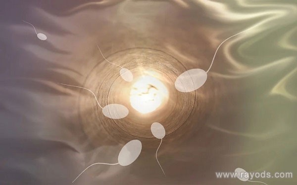 身体对多囊卵巢综合征有什么反应？如何改善它