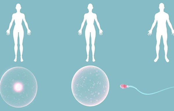 身体对多囊卵巢综合征有什么反应？如何改善它