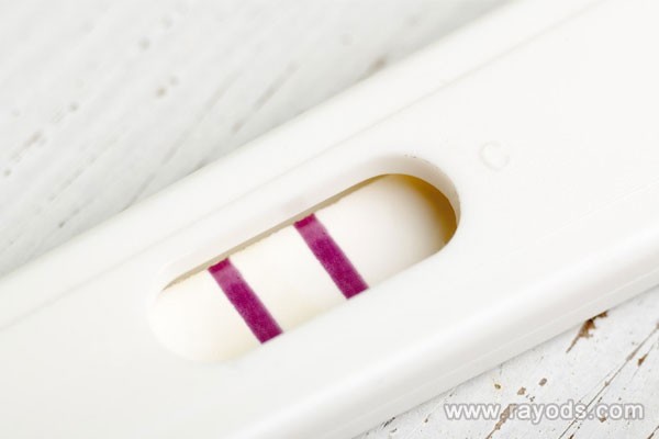 排卵的具体过程是什么，多大年龄可以受孕？