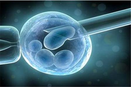 乌克兰试管婴儿新鲜胚胎移植不成功的标志是什么？