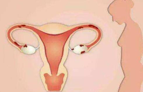 雌激素为什么子宫内膜会变薄，怎样才能恢复子宫内膜？