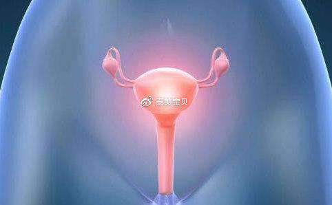 双胞胎二代试管婴儿医院排名
：厚厚的子宫内膜是成功植入胚胎的保证吗？