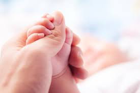 正规试管婴儿生殖中心:妇女卵巢性不孕的详情