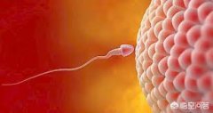 50岁助孕产子包生男孩_试管婴儿三期的这5个细微感觉表明受孕成功。