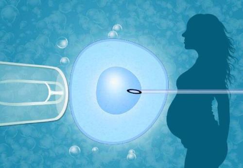 50岁三代试管婴儿包生男孩:亲子试管婴儿胚胎移植技术-移植管的选择。